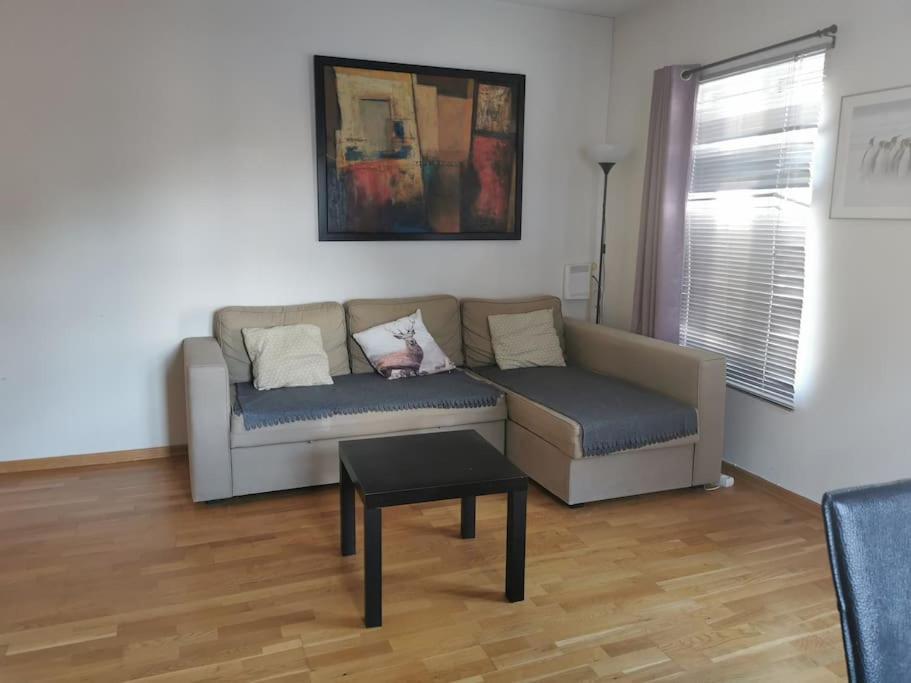 Apartment 1-bedroom In Heart Of The